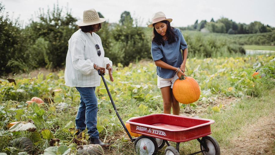 Eco farming